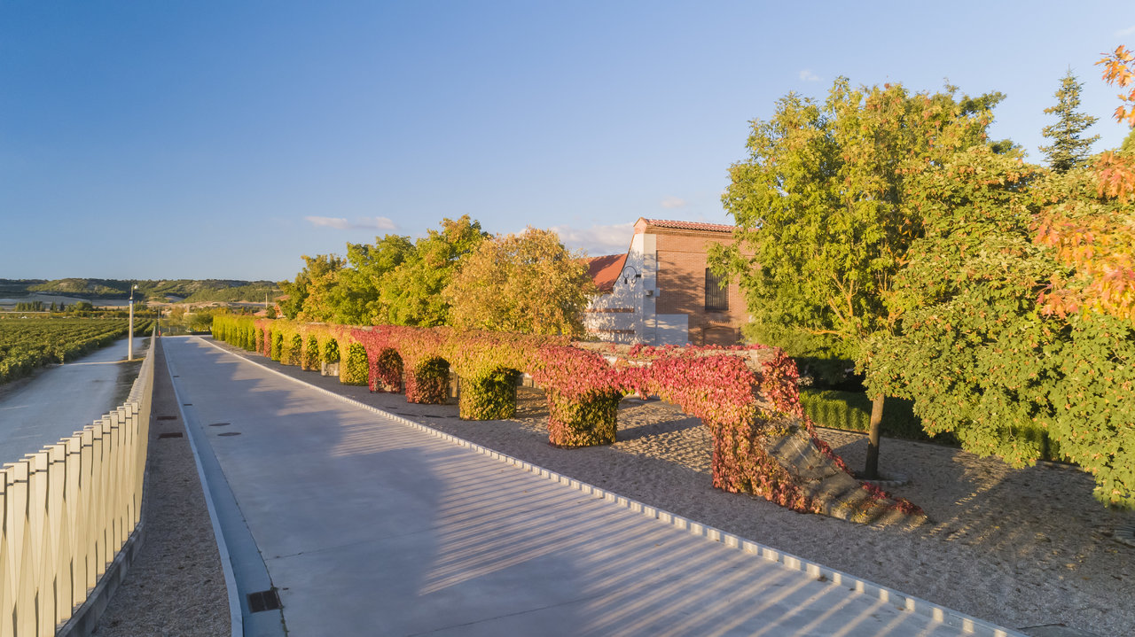VegaSicilia_02