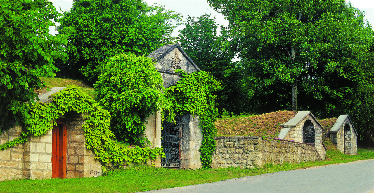 cellar3